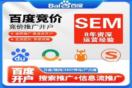 SEM广告案例：数据分析驱动营销决策